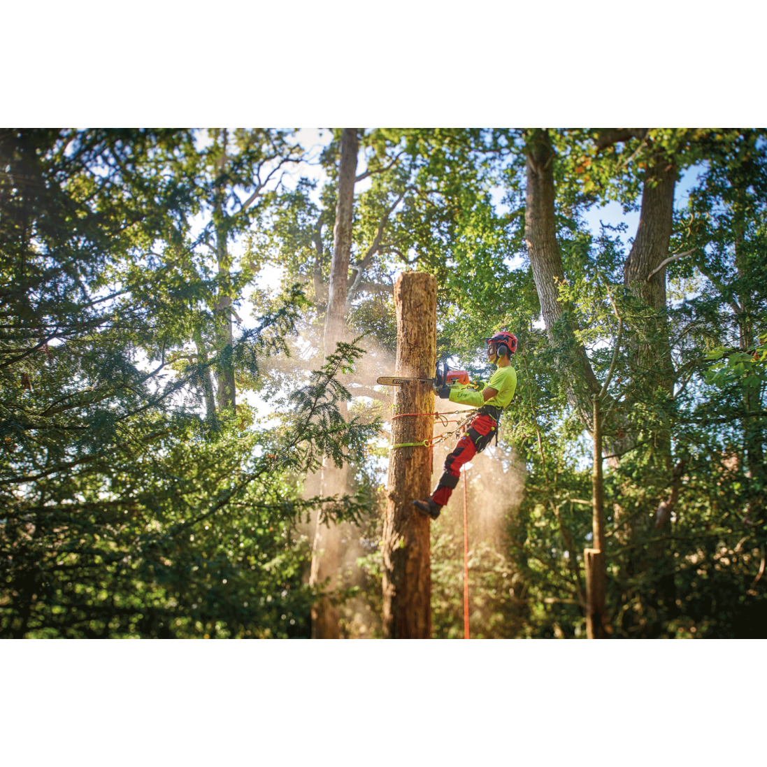 fausse-fourche-syncro-lg-09m-courant-elagage-cordiste-courant-pmdmat-35343935