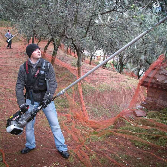 secoueur-à-olives-professionnel-sc800-cifarelli-matériel-jardin-forêt-cifarelli-pmdmat-35341449