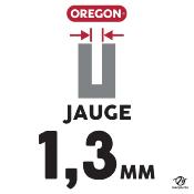 Guide Oregon 30 cm 3/8 LP 1.3 45 entraineurs 