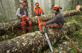 Outillage professionnel - Matériel Jardin & Forêt