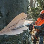 Tronçonneuse thermique Stihl MS 661 C / 63 CM