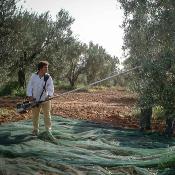 Secoueur à olives professionnel SC800 cifarelli