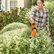 Sculpte-haies à batterie STIHL HSA 26 NU (sans batterie ni chargeur