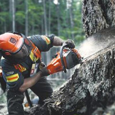 Tronçonneuse HUSQVARNA 545 Mark II guide 45 SN