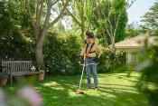 Débroussailleuse à batterie FSA 80  STIHL (avec batterie et chargeur)