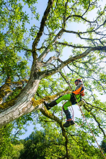 Corde de rappel 12.1mm / 40m / 2 épissures KANOPA Courant