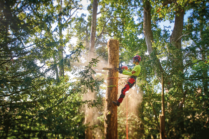 Fausse fourche Syncro Lg1.3m Courant