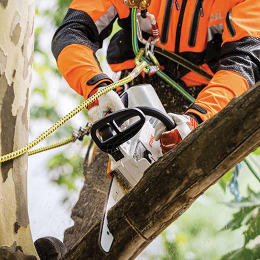 Tronçonneuse d'élagage a batterie STIHL MSA 161 T / 25cm