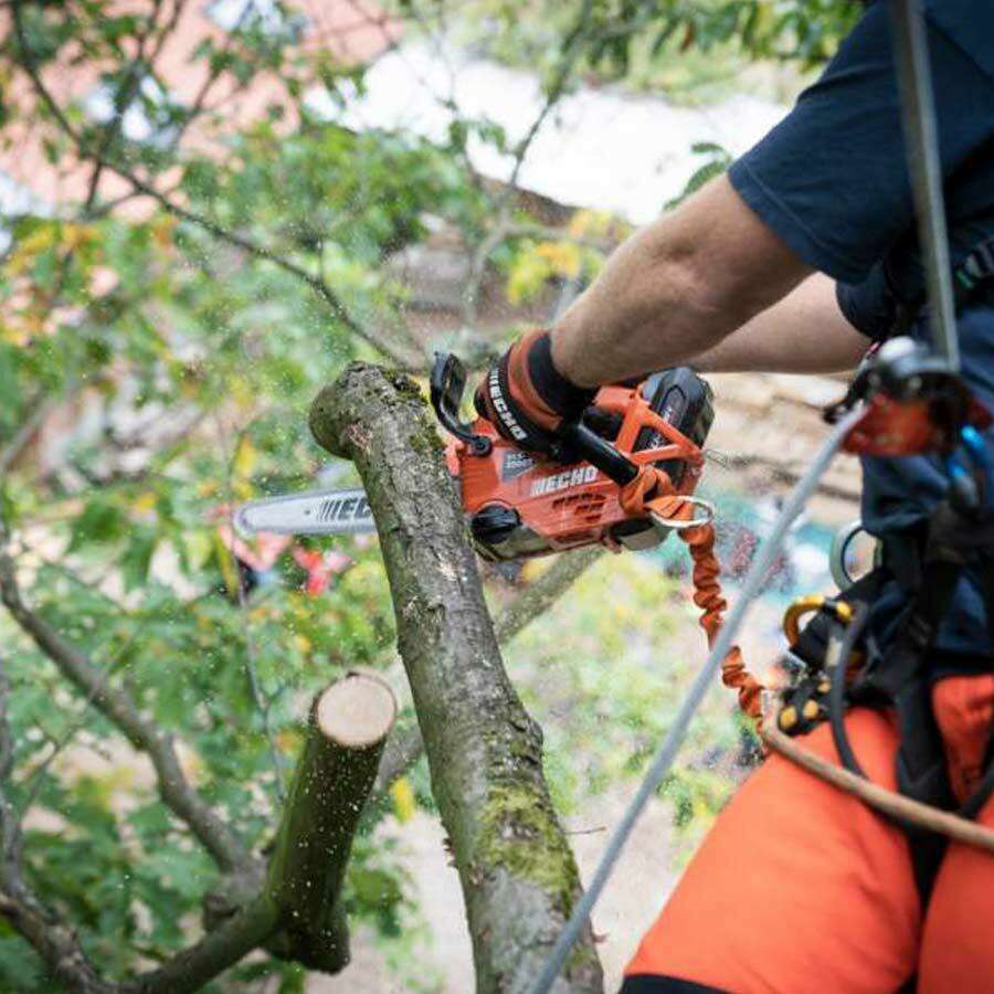 tronçonneuse-élagueuse-a-batterie-echo-dcs-2500-t-version-pack-1-batterie-1-chargeur-matériel-jardin-forêt-echo-pmdmat-35341469